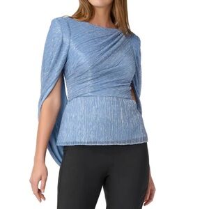 Adrianna Papell
Metallic Mesh Top Sz 18